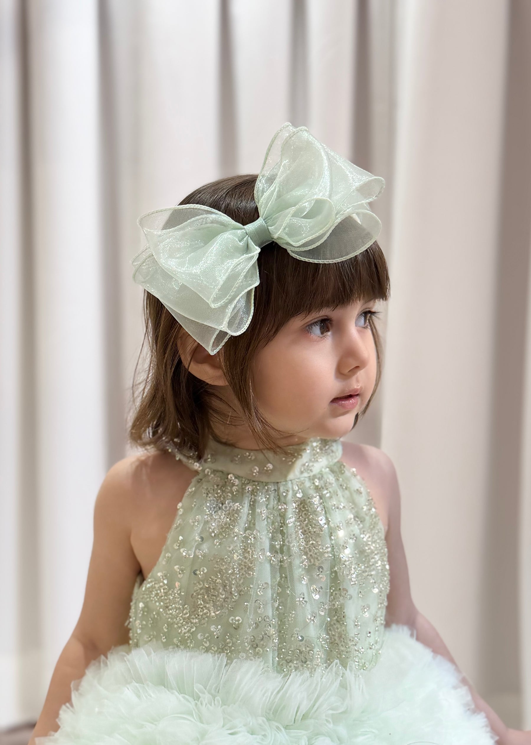 Hair Accessory (1 piece)